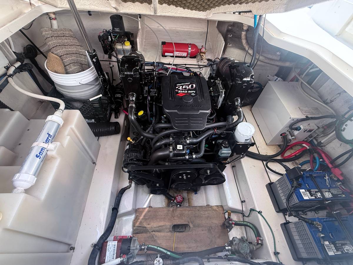 2005 Sea Ray  260 Sundancer - Image 15